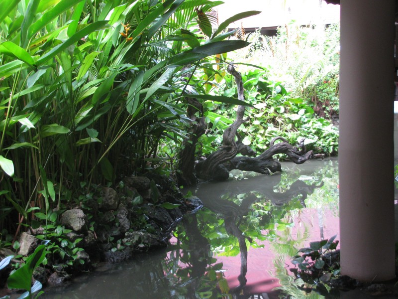 Dominican Republic 560.jpg